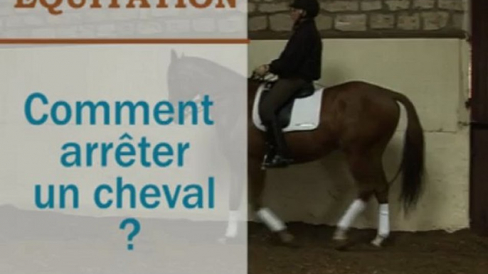 Equitation - Comment arrêter un cheval