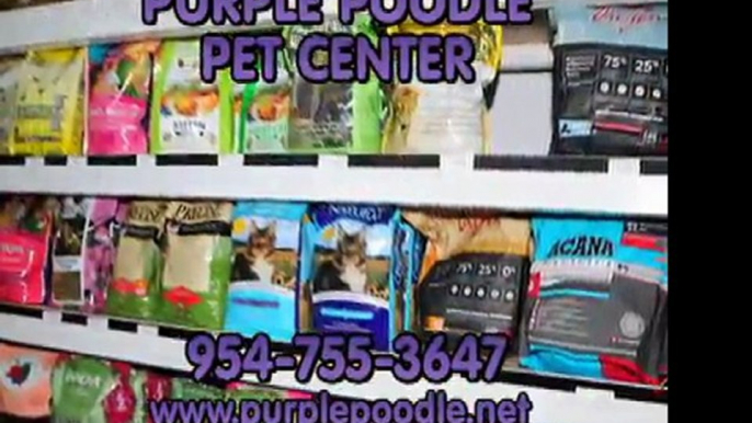 Purple Poodle Pet Center, 954-755-3647 Wheaten Groomer Shitzu, Poodle, Care. Coral Springs, Fl, www.purplepoodle.net, Pet Supplies Boarding, Dog Groomer, Pet Store. Purple Poodle Coral Springs Dog Grooming.