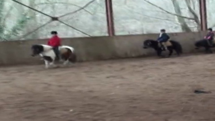 Équitation - poney games au centre équestre du moulin du Goutay dans le 87 en Limousin