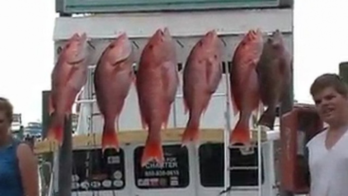 Destin Fishing Charters