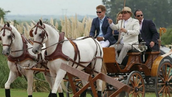 Prince Harry Polo Match in Brazil Royal Salute