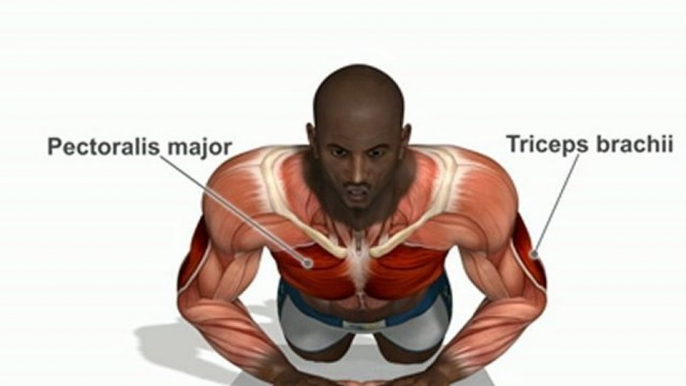 Diamond push ups ( knees position )