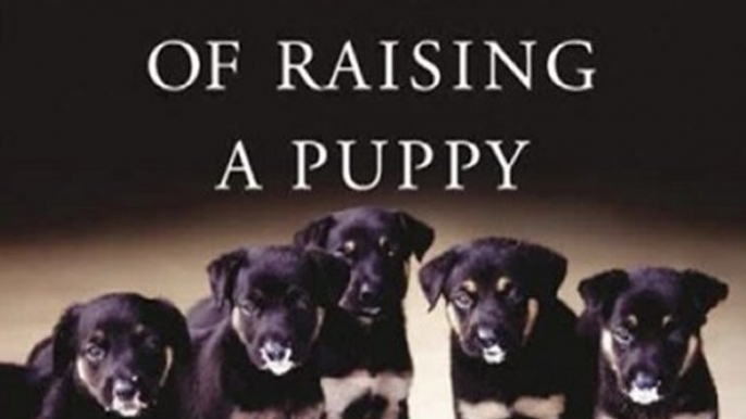 Audio Book Review: The Art of Raising a Puppy by The Monks of New Skete (Author), Michael Wager (Narrator)