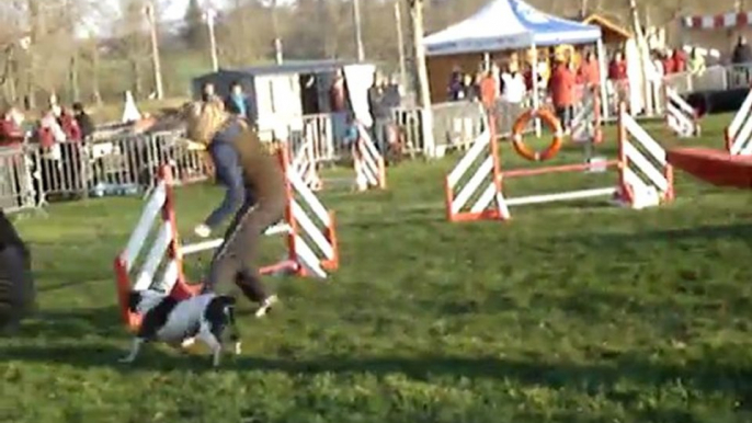 Concours agility Auch