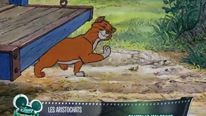 Disney Cinemagic - Les Aristochats - Samedi 19 Mai à 20H45