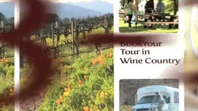 Napa Valley Wine Tours, California Wine Country, Platypus: Meet Don