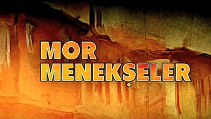 Mor Menekşeler 28. Bölüm Fragman Dizi İzle (tek parça)