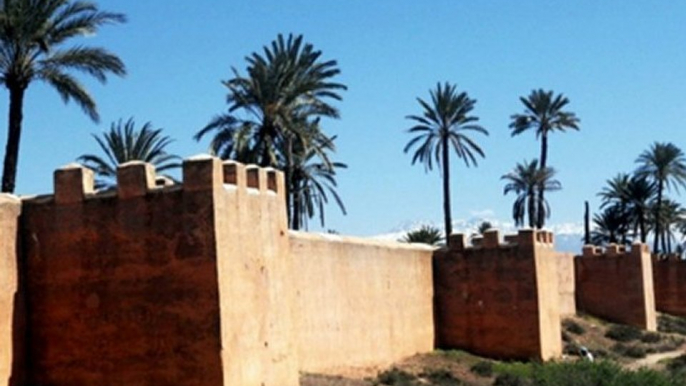 Bio-Tiful Morocco - Luxury Concierge North & South - Fun Meets Authenticity - Maroc 4x4 Tours