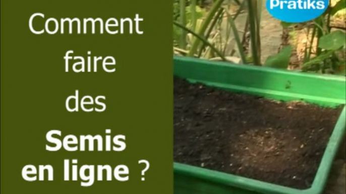 Comment faire des semis en lignes ?