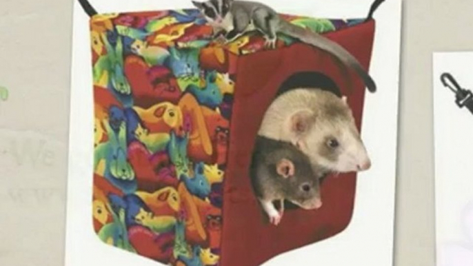 Beds for Small Pets!