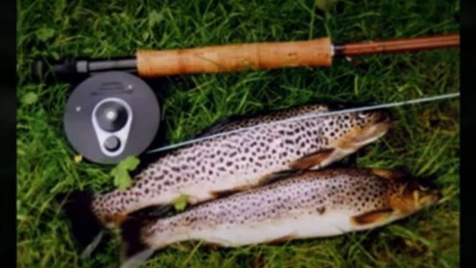 Fly Fishing Rods – Various Materials to Choose From | Trout Fishing Review