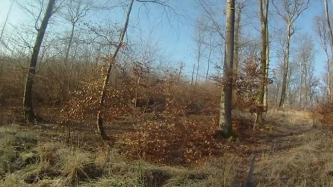 Chasse sanglier en battue avec rabatteurs - Caméra chasse GoPro HD