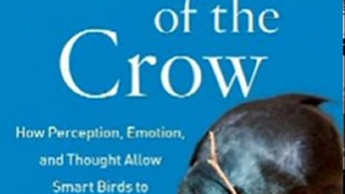 Sports Book Review: Gifts of the Crow: How Perception, Emotion, and Thought Allow Smart Birds to Behave Like Humans by John Marzluff, Tony Angell