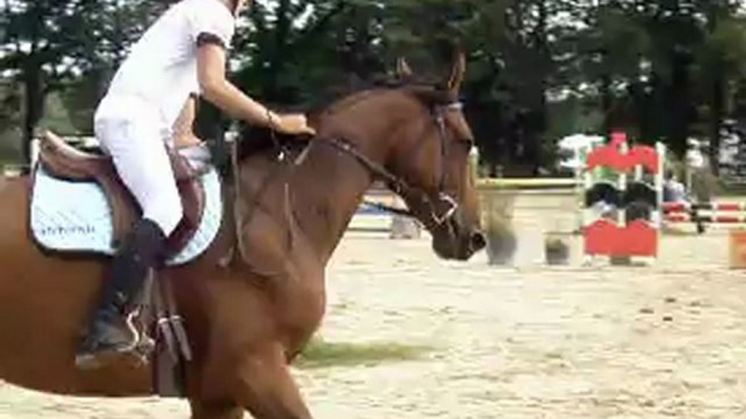 Concours de Sauts d'obstacles au Boulerie Jump: Antoine se classe 3ème ex aequo avec SEMILLANT DU GREZ en Club2