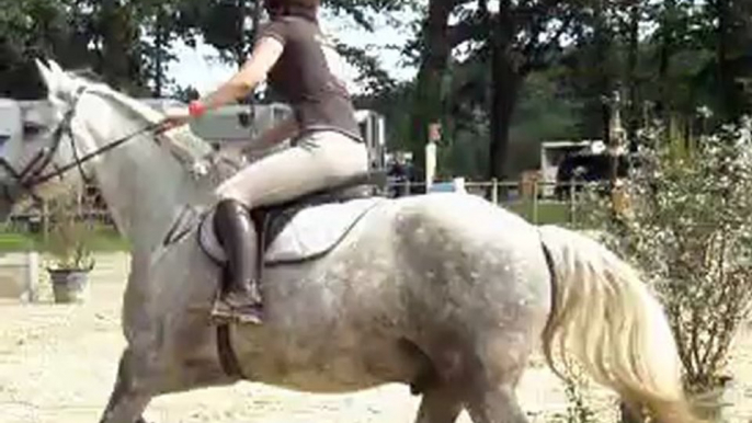 Club2 : Concours de Sauts d'obstacles au Boulerie Jump: Elise se classe 3ème ex aequo avec PHOENIX