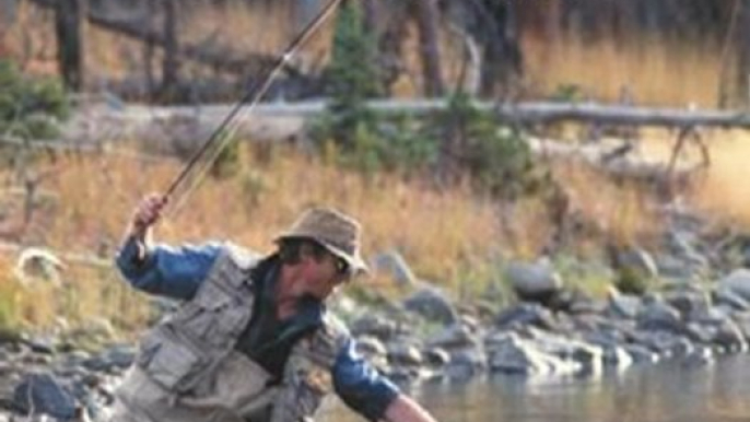 Sports Book Review: The Orvis Fly-Fishing Guide, Completely Revised and Updated with Over 400 New Color Photos and Illustrations by Tom Rosenbauer