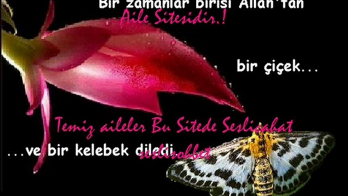 www.seslipus.com Lâtif Sabah Rüzgârı Sevgiliye Nazâr Et! .. Şiiri - Fatima Humeyra ...