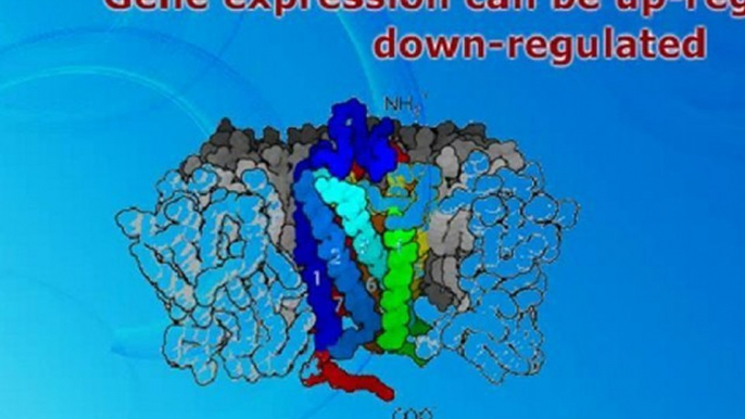 The targets of gene therapy are the genes carried on 23  human chromosomes