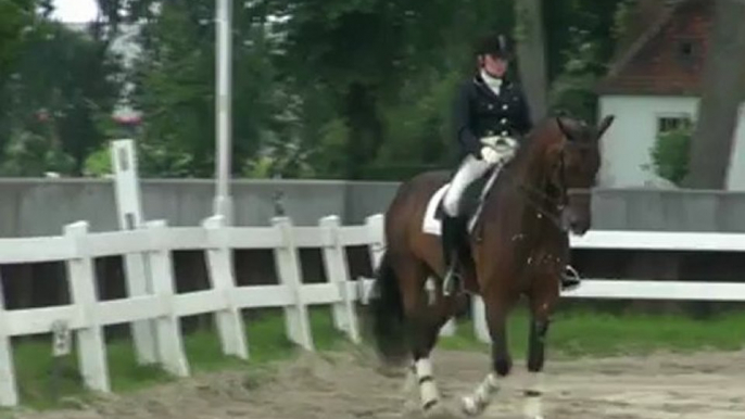 Dressuurwedstrijd  bij Deenen in Heijen met show van Veulens en een kur door  Daphne Kamerbeek met haar paard Piaff.