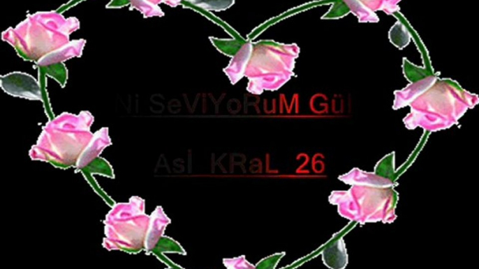 SeNi ÇoK SeViYoRuM-GüLüM--CaNim SeVgİLiM BeNiM _     Asİ_KRaL_26