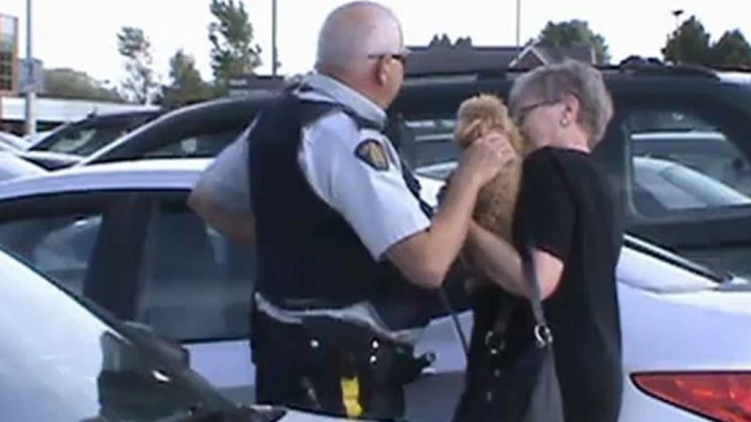 Dog locked in vehicle 29C/84F Codiac RCMP Motorcycle Officer first on scene