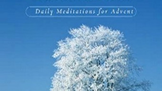 Christian Book Review: Preparing for Christmas with Richard Rohr: Daily Reflections for Advent by Richard Rohr O.F.M.