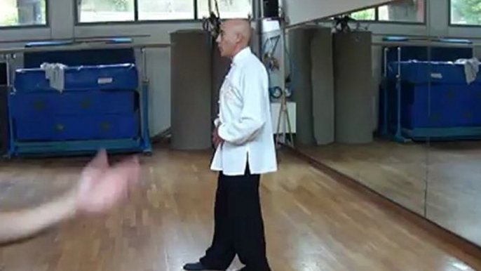 I SEGRETI DELLE ARTI MARZIALI INTERNE CINESI: DAGLI ESERCIZI DI BASE ALLE APPLICAZIONI MARZIALI. CORSI A ROMA DI TAIJI QUAN (TAI CHI CHUAN), NEI GONG,QI GONG, XIN YI CON IL MAESTRO FLAVIO DANIELE XLIII