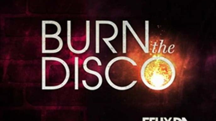 Felix Da Housecat feat. will.i.am - Burn The Disco (Radio Edit)