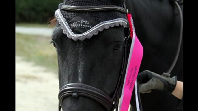 Un amour de Noé finale dressage 4ans poneys - reprise finale