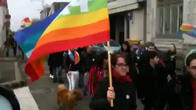 Marche des fiertés improvisée à La Roche-sur-Yon, en marge du rassemblement pour l'égalité des droits - 17 novembre 2012