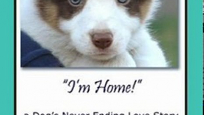 Crafts Book Review: "I'm Home!" a Dog's Never Ending Love Story: Animal Life After Death, Pet Reincarnation, Animals Spirits, Pets Past Lives, Animal communication, Dog Lovers stories, pets soul contracts by Brent Atwater