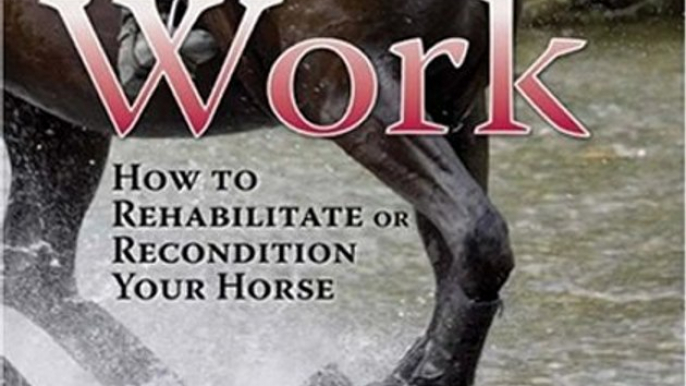 Crafts Book Review: Back to Work: How to Rehabilitate or Recondition Your Horse by Lucinda Dyer