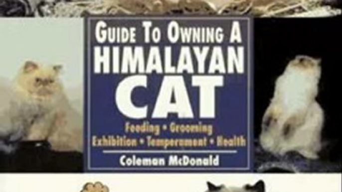Crafts Book Review: Guide to Owning Himalayan Cat by Coleman McDonald