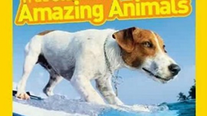 Humour Book Review: National Geographic Kids 125 True Stories of Amazing Animals: Inspiring Tales of Animal Friendship & Four-Legged Heroes, Plus Crazy Animal Antics by National Geographic Kids