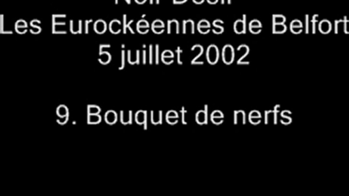 09.Bouquet de nerfs - Noir Désir aux Eurockéennes de Belfort le 5 juillet 2002