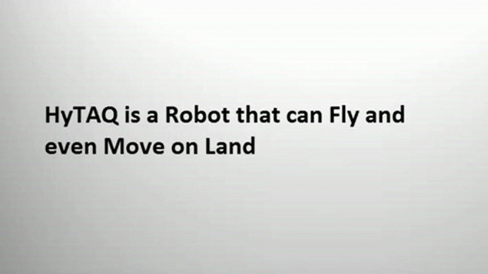 HyTAQ - A Robot that not only Rolls on Land, but also Flies in Air