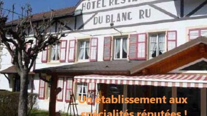 restaurant, chambres d'hôtes à vendre en Alsace ou dans les Vosges, sans frais d'agence !