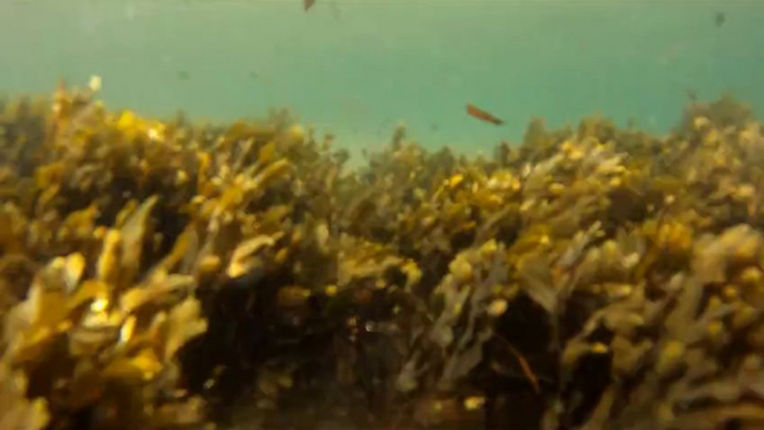 Balade et randonnée en canoë à Penthièvre Saint-Pierre Quiberon dans le Morbihan en Bretagne