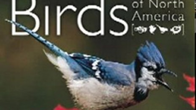 Outdoors Book Review: National Geographic Backyard Guide to the Birds of North America (National Geographic Backyard Guides) by Jonathan Alderfer, Paul Hess