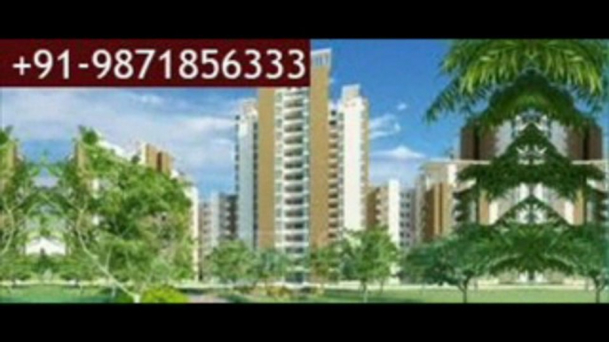 Available Jaypee Greens projects in Noida for Investment