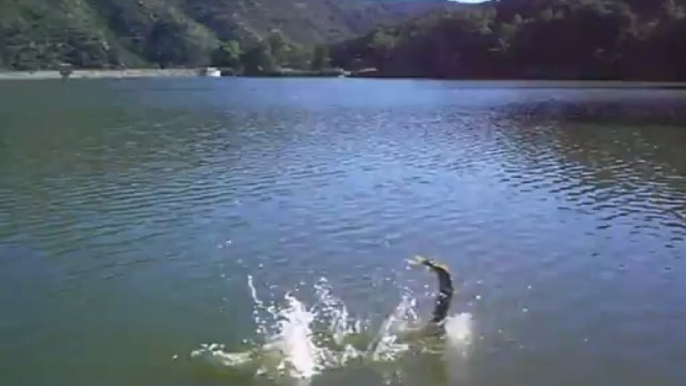 Le 1er Brochet de Lucas - Stage Pêche Carnassier Lac de Caramany & Vinça