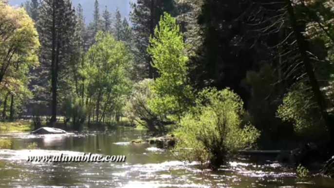 Stock Video - The River 04 clip 10 - Stock Footage - Video Backgrounds