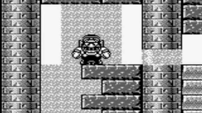 Wario land 2 17 - poisscaille (aka lets bug tonight)