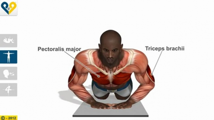 Diamond push ups ( knees position )