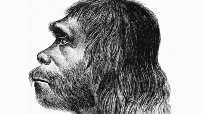 Larger Eyes Contributed to Neanderthal Extinction: Study