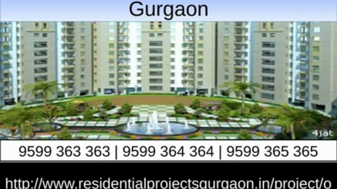 Orris Aster Court Sector 85 Gurgaon