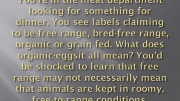 Organic, free-range, caged, barn laid, bred free-range… What does it all mean? Part 1