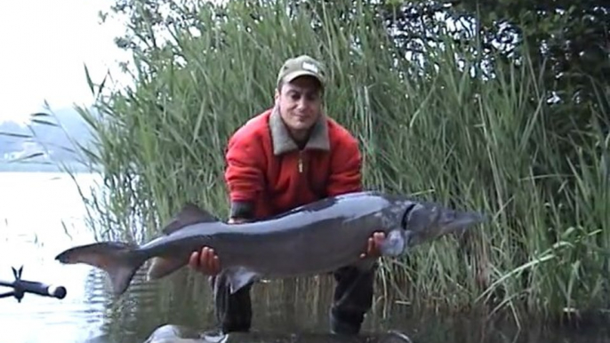 Pêche à la carpe et esturgeon à l'étang de la lande