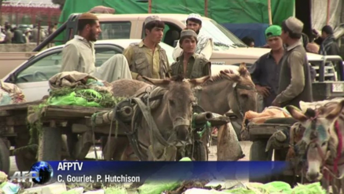 Young Afghans intent on rebuilding war-torn country