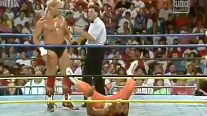 28. 93-06-17 Barry Windham vs. 2 Cold Scorpio (Clash XXIII)